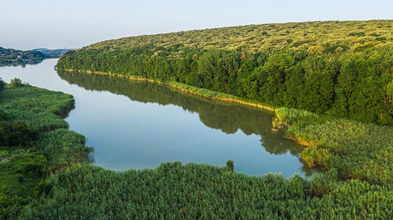 Вила Теkето I Vila Teketo Family Guest House Nikolovo Luaran gambar
